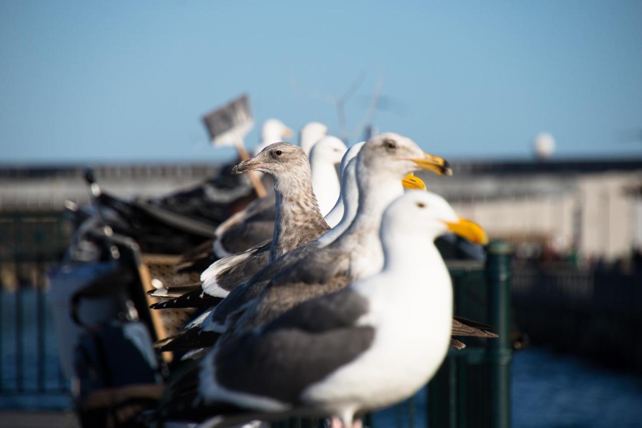 The Greenwich Rooms - Burger & Bird Bar & Restaurant Peacehaven 외부 사진